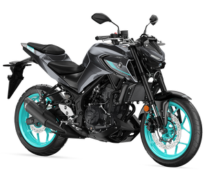 Yamaha mt 3 online price