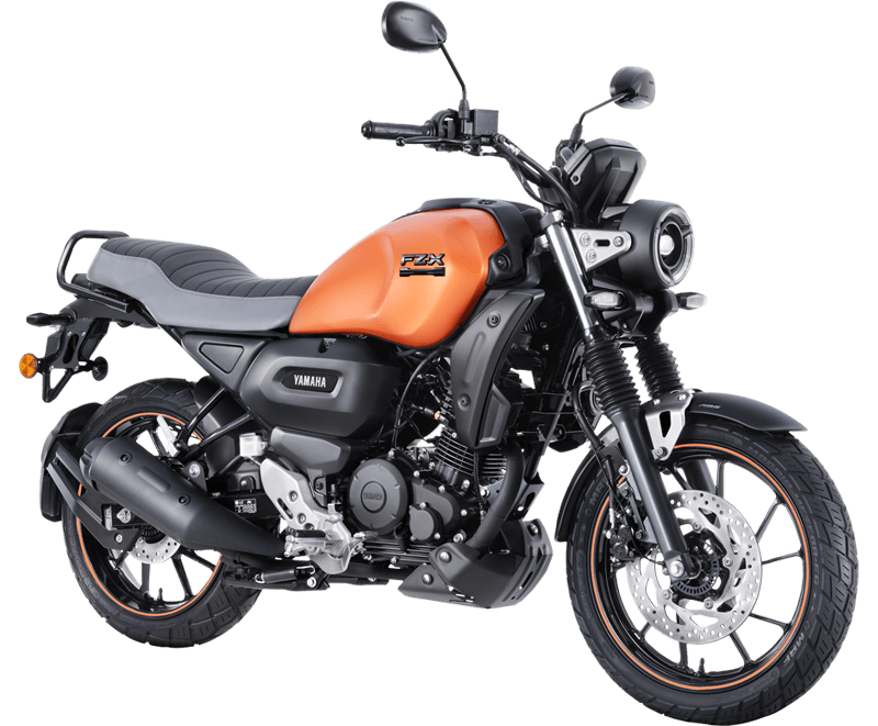 Fz bike online battery price